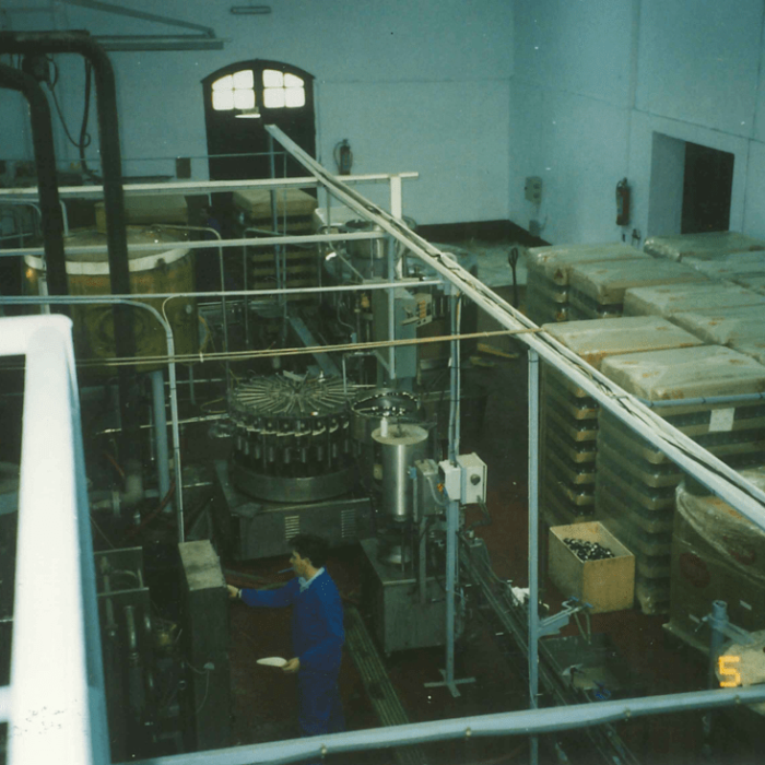 Captura de pantalla 2026-02-16 182845